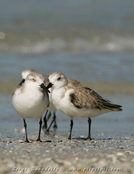 2009-01-04 10-54-42__MG_9657.JPG